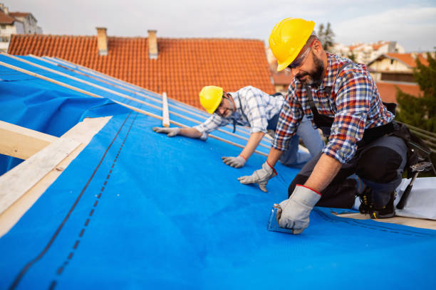 Best Gutter Installation and Roofing  in Hightstown, NJ