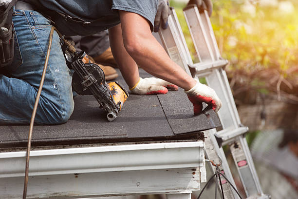 Best Roof Gutter Cleaning  in Hightstown, NJ